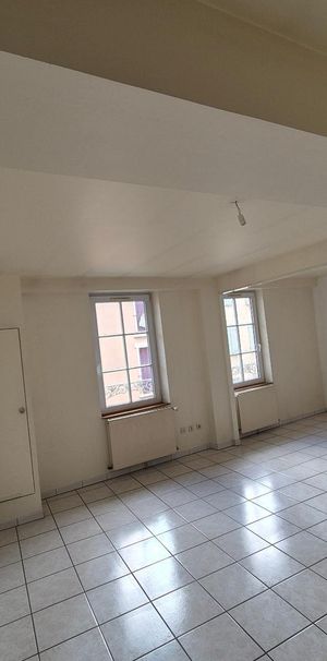 Location Appartement 2 pièces 52m² MACON 71000 - Photo 1