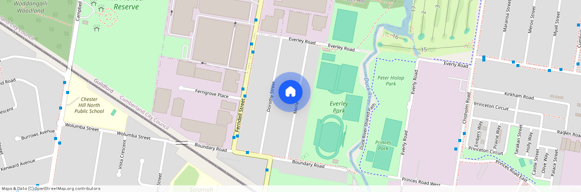 24A Merle St, 2162, Chester Hill Nsw