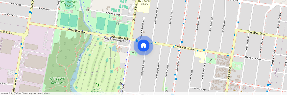 1A Belgium Street, Auburn 2144, New South Wales