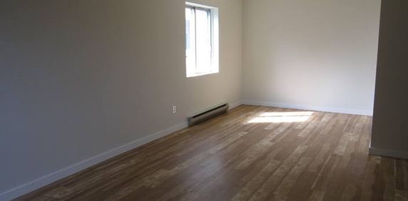 Appartement 2 chambres à louer Ville St-Laurent - Bois-Franc à Plaza Oasis - Photo 2