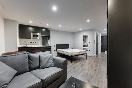 Studio Flat, Low Hill, L6 - Photo 3