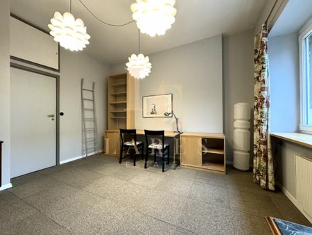 Wysokie sufity| Saska Kępa |Balkon| Zwierzęta - Zdjęcie 2