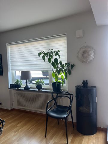 Drottninggatan, Helsingborg - Photo 2