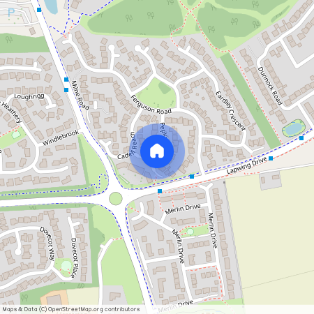 Peploe Rise, Dunfermline, KY11