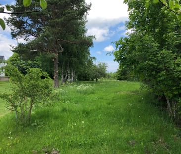 Björkkullavägen, Väddö - Photo 3