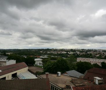 Location Appartement 2 pièces 48m² LIMOGES 87000 - Photo 5