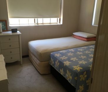 Little Bay - Photo 6