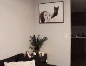 Cozy Basement Suite | Calgary - Photo 1