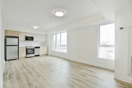 19 Robinson Avenue, Sandy Hill, Ottawa, ON - Photo 4