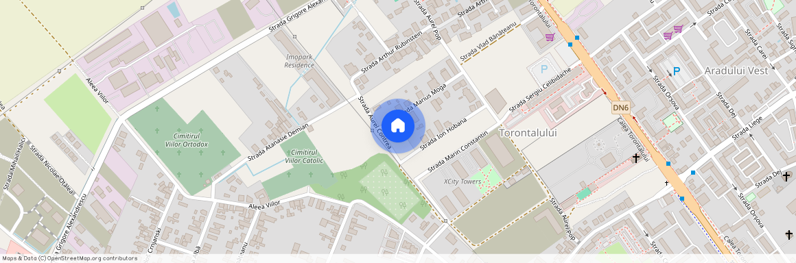 Timis, Timisoara
