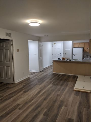 For Lease - 141 Woodbridge Avenue Unit# 206, Vaughan, Ontario - Photo 3