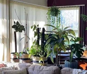 Spacious Family Home - Photo 1