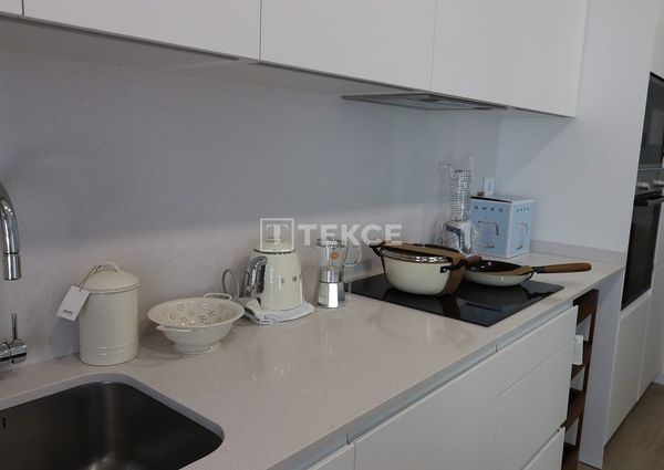 Badalona, La Morera, Barcelona, Catalonia 08918