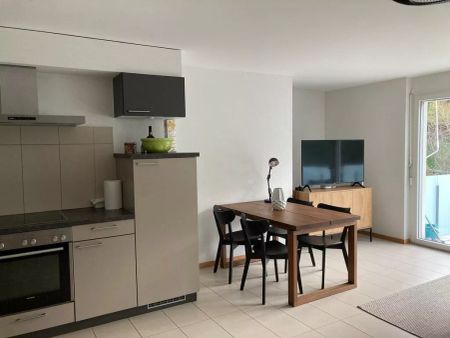 Joli 2.5 pièces à Vevey avec grand balcon - Photo 4