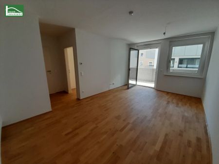 Karmeliterhof - Tolle 2-Zimmer-Wohnung im Herzen der Landeshauptstadt! - Photo 2