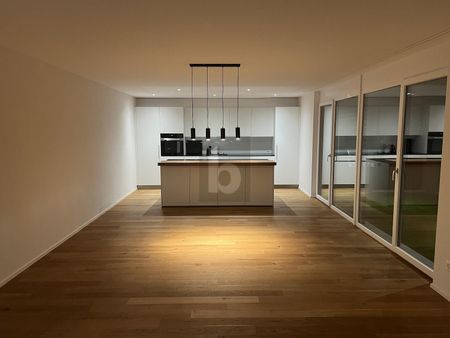 GREEN OASIS WITH LOTS OF EQUIPMENT - Photo 2