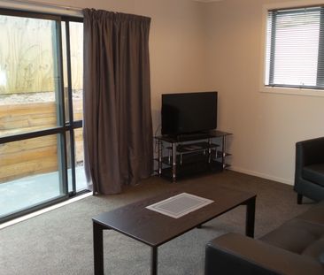 Furnished One Bedroom Apartment - Photo 3