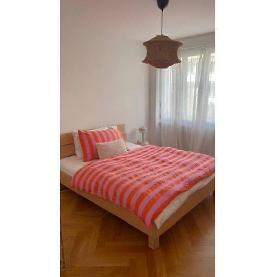 3 Zimmer-Wohnung in Bern - Breitenrain, möbliert, auf Zeit - Foto 1