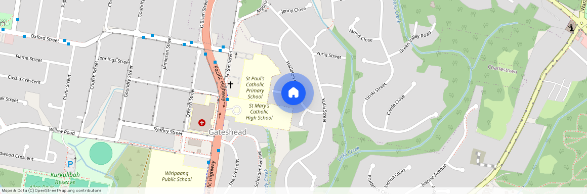 1 Alvestor Close, NSW 2290, Charlestown