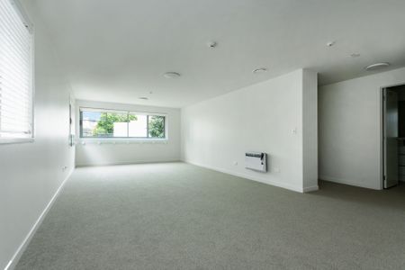 Live on Morning Star Place - Photo 5