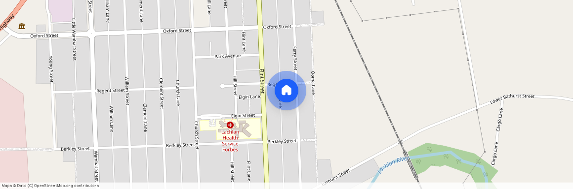 89 Ferry Street, NSW 2871, Forbes