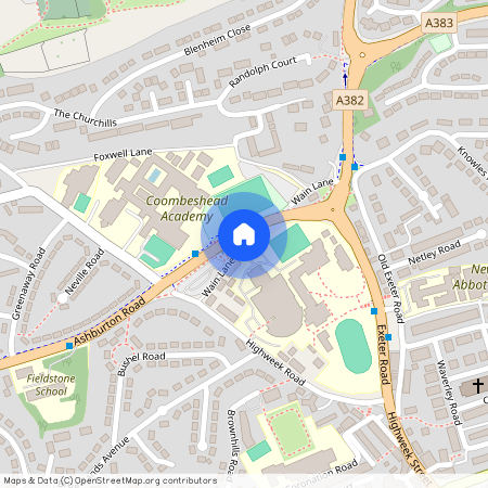 Wain Lane, Newton Abbot, TQ12