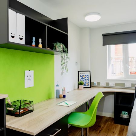 Silver Deluxe - Photo 2