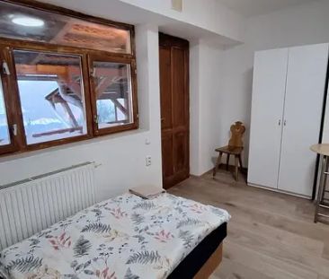 Pronájem bytu 1+kk, 18 m - Fotografie 4