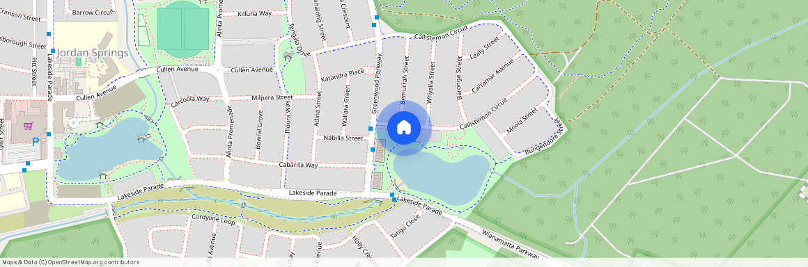 111 Callistemon Circuit, Jordan Springs NSW 2747