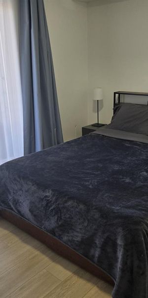 Montréal – Hochelaga – Cession de bail – Appartement 3 1/2 rénové à louer – Disponible maintenant - Photo 1