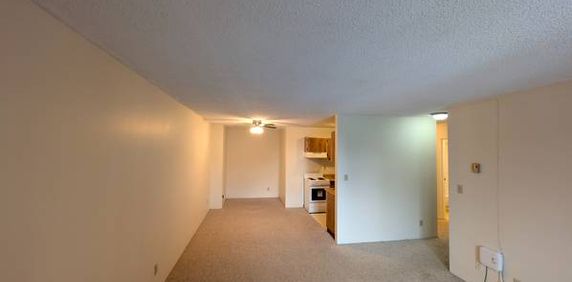 ✨ Hidden Gem – Spacious 1-Bedroom + Den ✨ - Photo 2