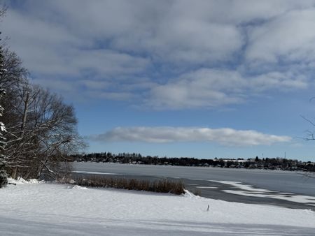 For Lease - 230 Beech Street, Scugog, Ontario - Photo 3