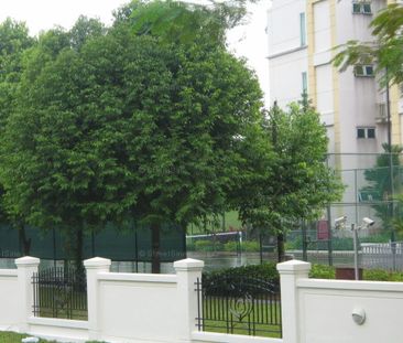 Euphony Gardens (D27), Condominium - For Rent - Photo 1