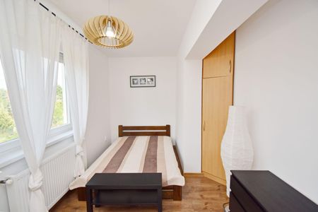 Hajdú-Bihar megye, Debrecen - Fotó 2