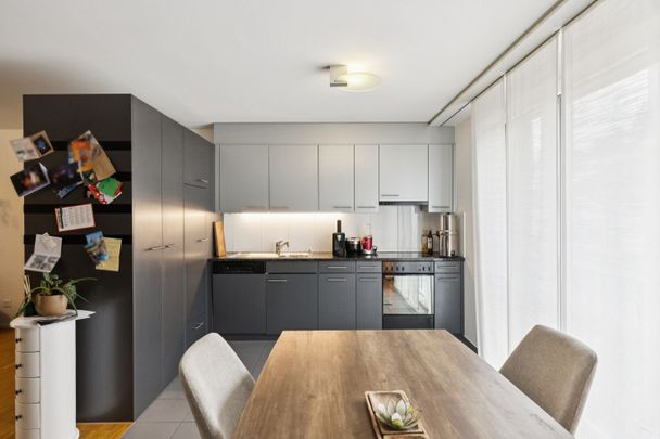 2-ROOM APARTMENT IN LUCERNE, FURNISHED, TEMPORARY - Foto 1