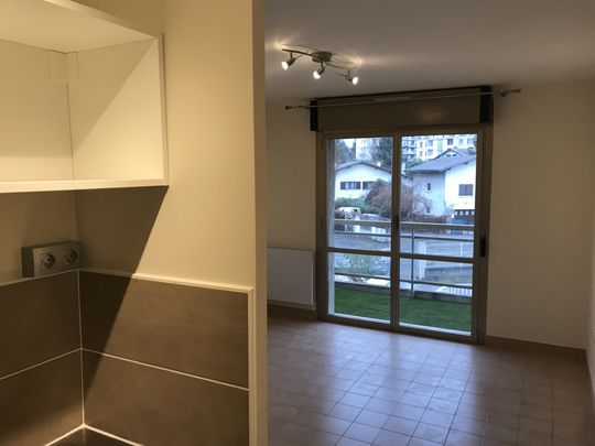 Location Appartement 1 pièce 19m² ST MARTIN D HERES 38400 - Photo 1