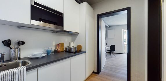 Large Bude 1.02.09 - Photo 2