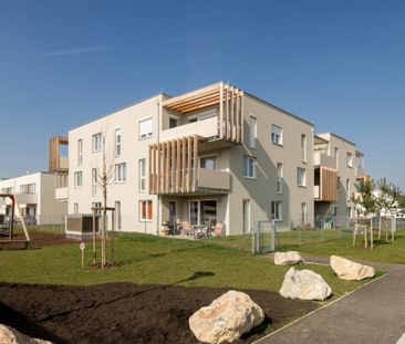 Strasshof – Charmante Gartenwohnung für Paare & Singles - Photo 3