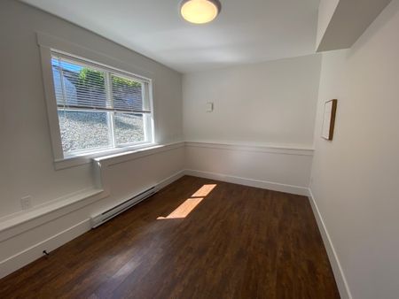 4823 Vista View Crescent – Lower - Photo 3