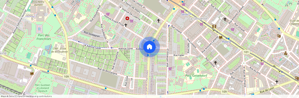 Avenue Wendt, Genève