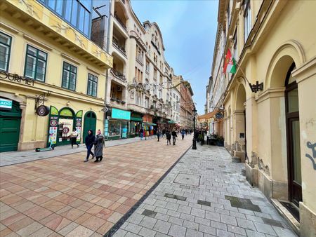 Kiadó jó állapotú lakás - Budapest V. kerület - Photo 3