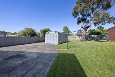 Updated Three Bedroom Home Just Minutes to the Cbd! - Photo 4