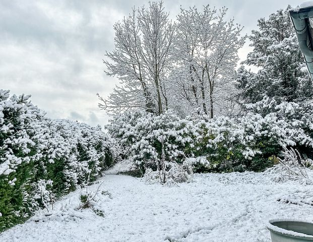 Gemütliche Gartenwohnung mit befristeter Mietdauer - Foto 1