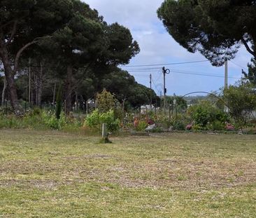 Moradia T3 - Photo 4