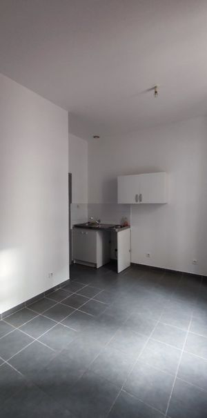 Location Appartement 1 pièce 23m² SETE 34200 - Photo 2