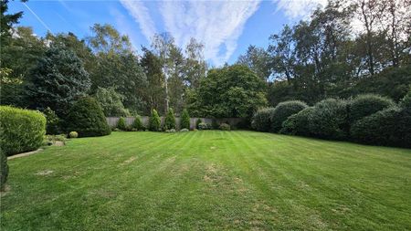 2 bedroom detached house to rent - Photo 5
