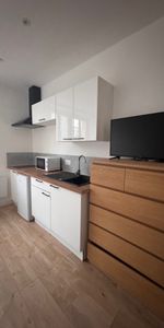 A louer brest Recouvrance-jardin des explorateur studio meublé neuf - Photo 3