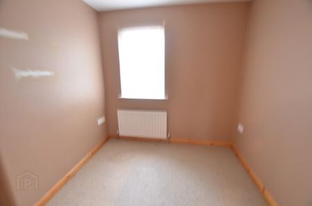 206 Belvedere Manor, Lurgan, BT67 9NX - Photo 4