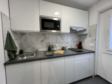 Location Appartement 1 pièce 24m² CANNES 06400 - Photo 4