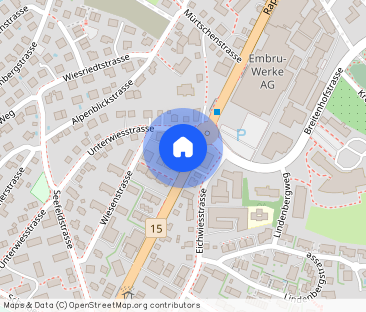 Welcome to Rüti - Photo 1